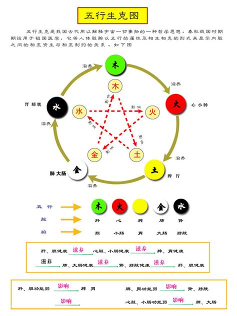 五行水晶顏色 血液循环简图